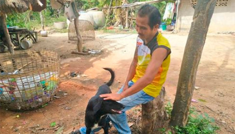 Ping Pong, el perro que rescató a un bebé enterrado vivo | Internacionales