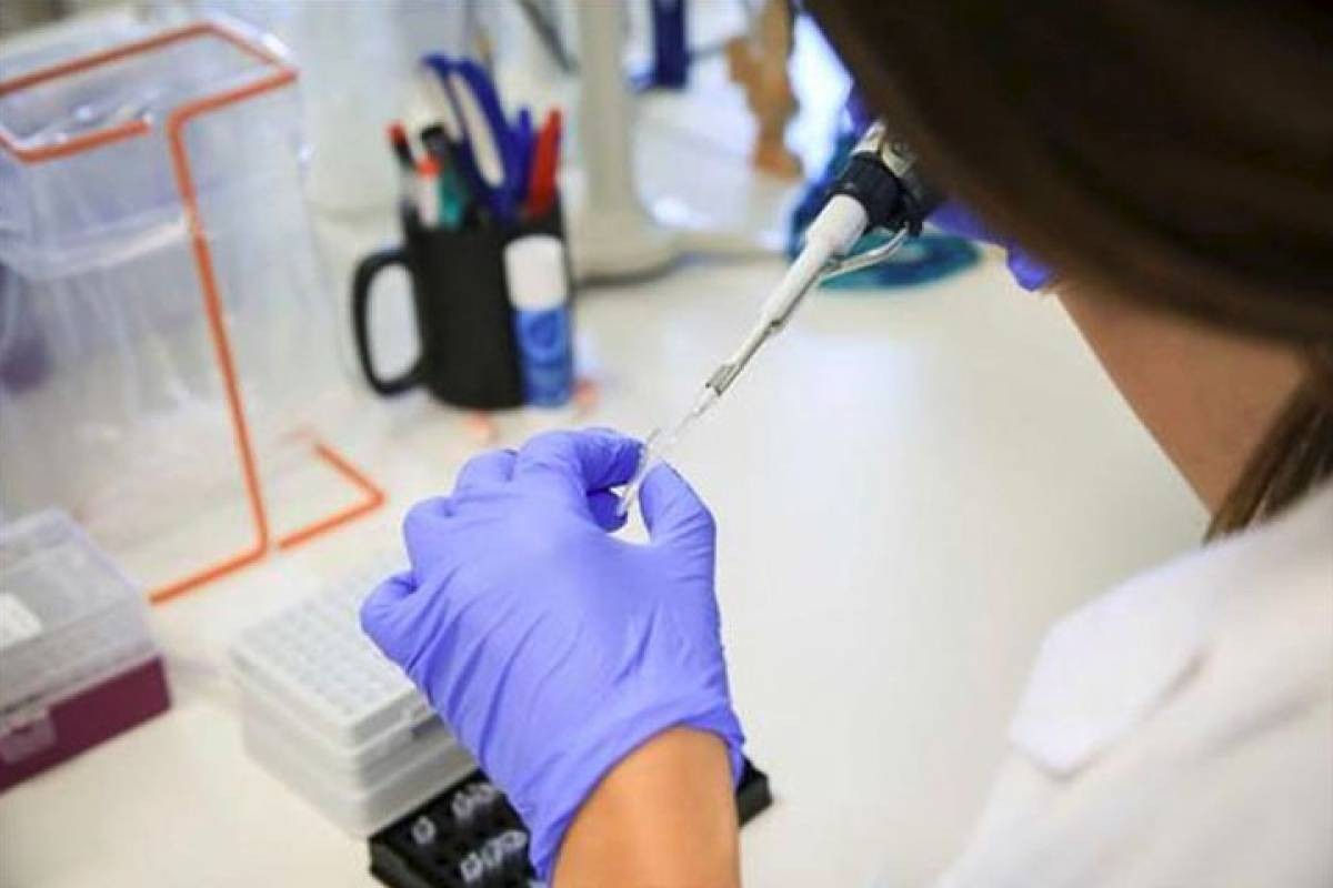 Se triplicaron los casos de sífilis en el país durante los últimos años | Información General