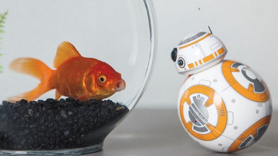 Con un robot inspirado en Star Wars, alumnos aprenderán robótica y programación | Tecnología