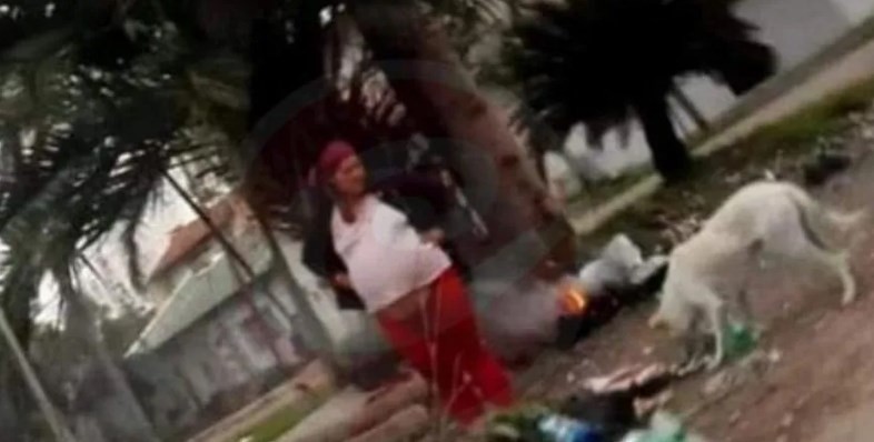 Vecinos de José C. Paz denuncian que una mujer se alimenta de perros y gatos | Información General