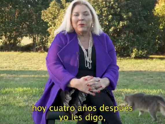 En el Día Internacional del Gato, uno se roba la atención en el último spot de campaña de Carrió | Información General
