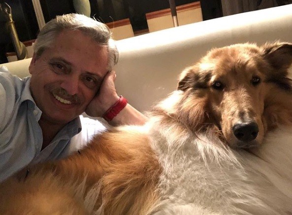 Efecto Dylan Fernández: criadores de collies creen que subirán las ventas | Información General