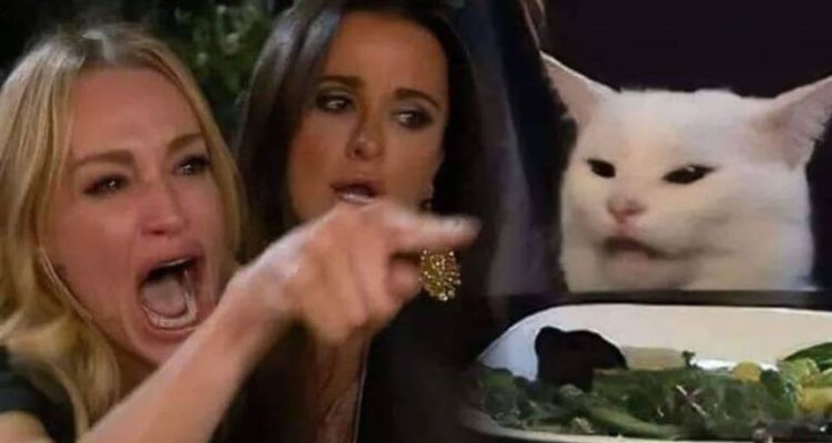 La historia detrás del meme del gato blanco que se volvió viral en las redes sociales | Tecnología