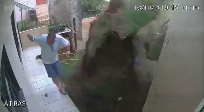 Medidas drásticas: por combatir un hormiguero, se quedó sin jardín | Tecnología