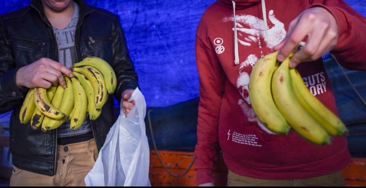 Bananas a $160 el kilo: aumentó por el conficto social en Chile | Información General