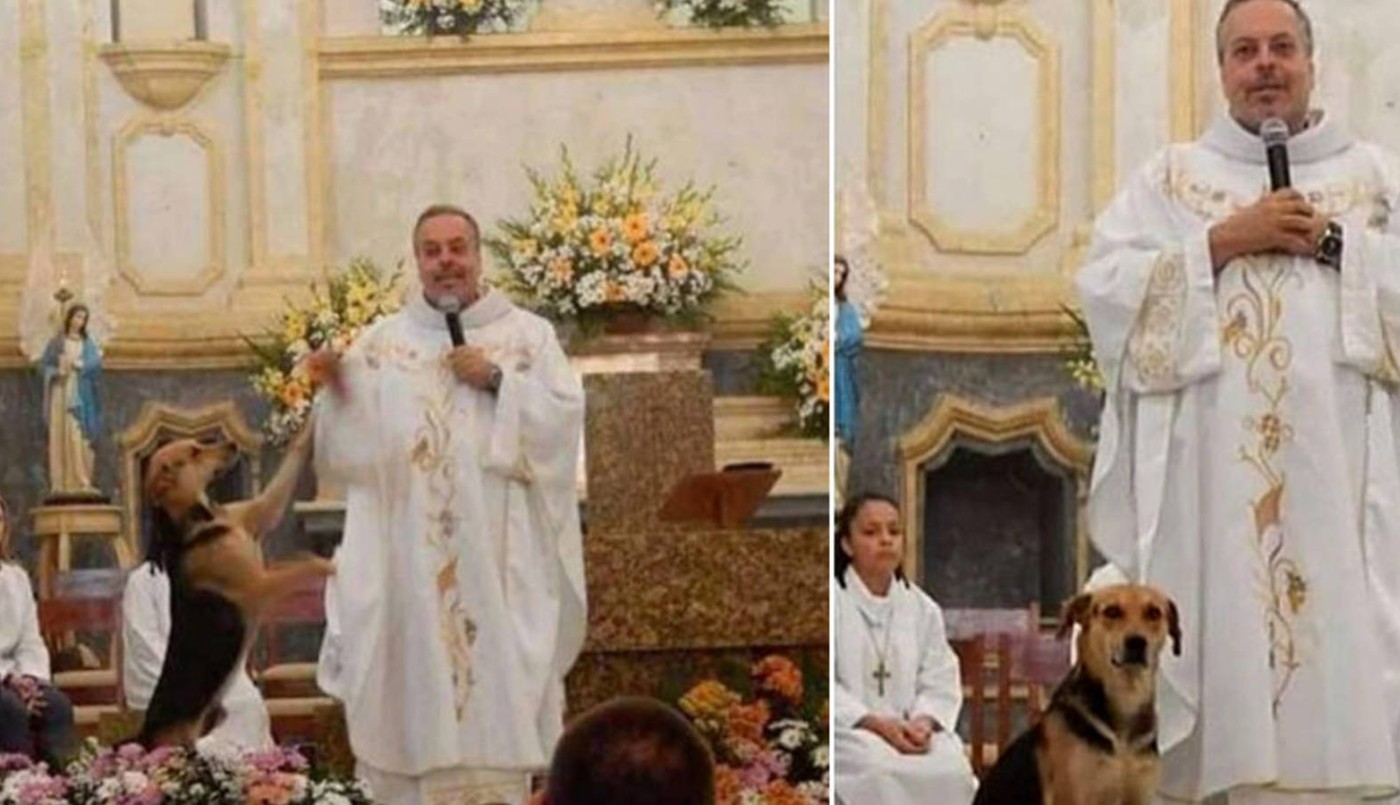 Un cura lleva perros callejeros a sus misas para lograr que la gente los adopte | Tecnología