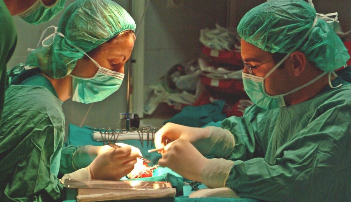 Buscarán aumentar "un 10% por año durante 5 años" la tasa de donantes vivos de riñón | Información General