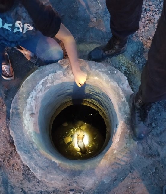 El emotivo rescate de Pancho, un perro que cayó en un pozo profundo en zona sur | Información General