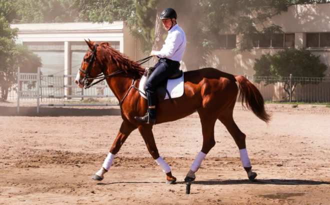 Macri montó un caballo y se despidió de su escolta de Granaderos | Información General