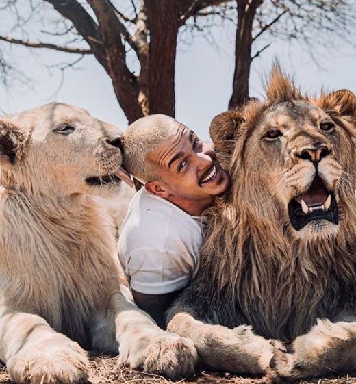 La escena entre un león y su cuidador que causó ternura en las redes | Tecnología