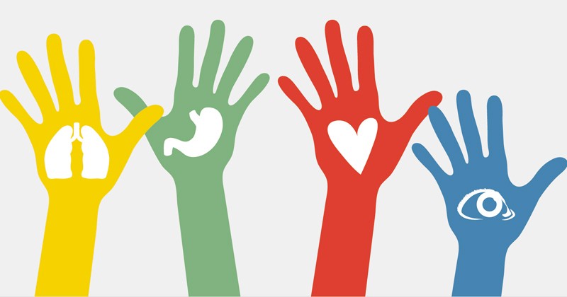 Santa Fe alcanzó cifras de donación de órganos sin precedentes | Información General