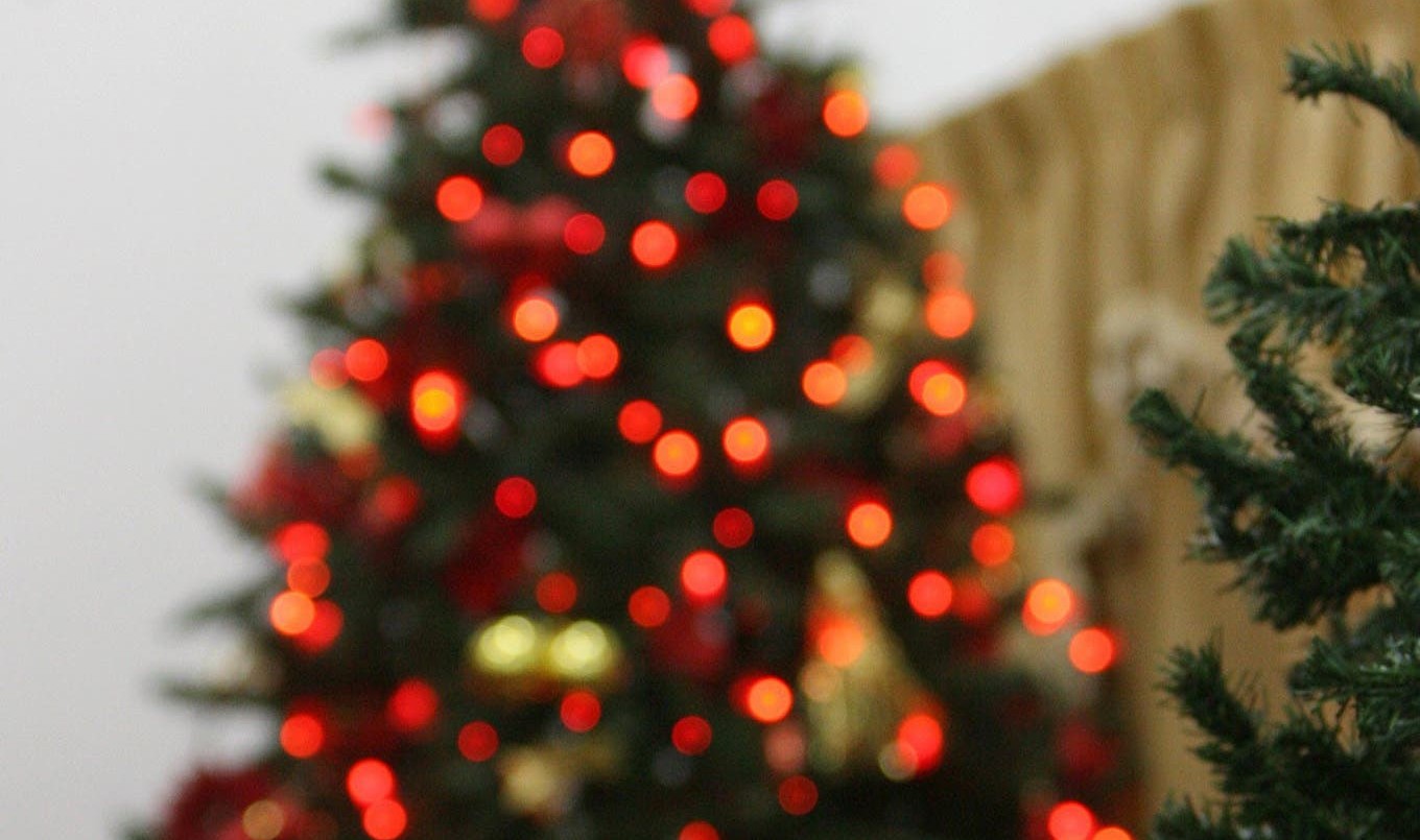 Decretaron asueto administrativo para el 24 y 31 de diciembre | Información General