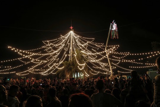 Fiestas sin pirotecnia: cómo cuidar a los que más queremos | Información General