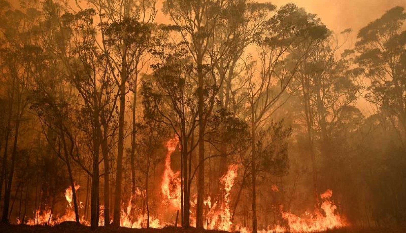 El humo de los incendios de Australia provocó un cielo rojizo en parte de la Argentina | Información General