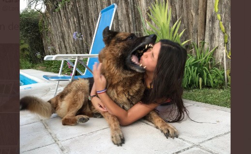 Quiso hacer una sesión de fotos con un perro y terminó de la peor manera | Información General