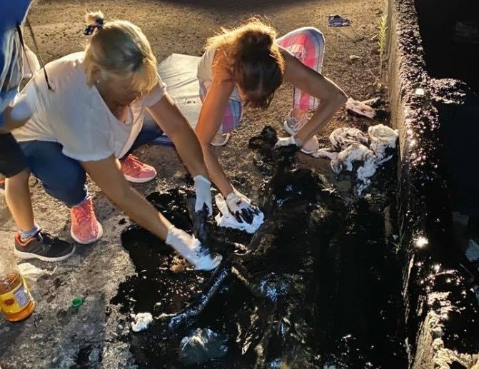 Conmovedor rescate: así le salvaron la vida a un perrita que cayó en un pozo con brea | Tecnología