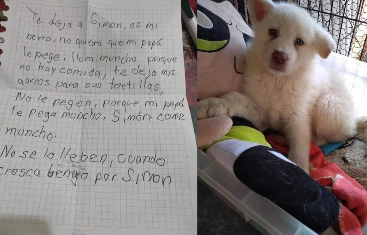 Un nene abandonó a su perrito junto a sus ahorros para salvarlo de los golpes de su padre | Tecnología