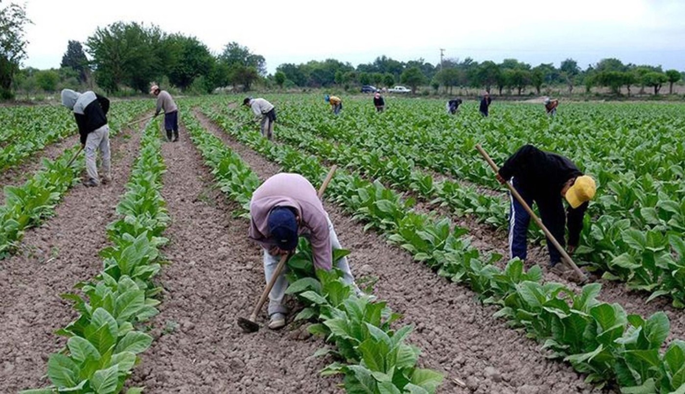 Tabacaleros piden "flexibilizar la actividad" en defensa de los puestos de trabajo | Información General
