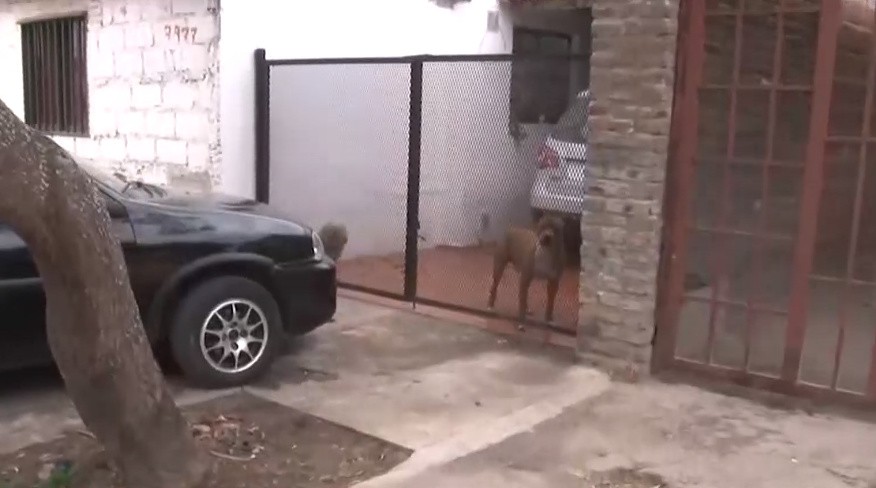 Hallan el cadáver de un joven apuñalado en barrio Godoy y hay tres detenidos | Información General