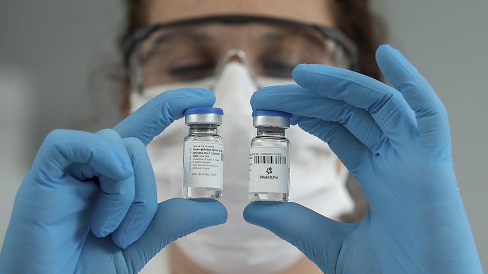 Investigadores argentinos logran neutralizar el coronavirus en laboratorio con suero de caballos | Información General