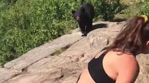 La increíble reacción de una chica que se cruzó muy cerca con un oso | Tecnología