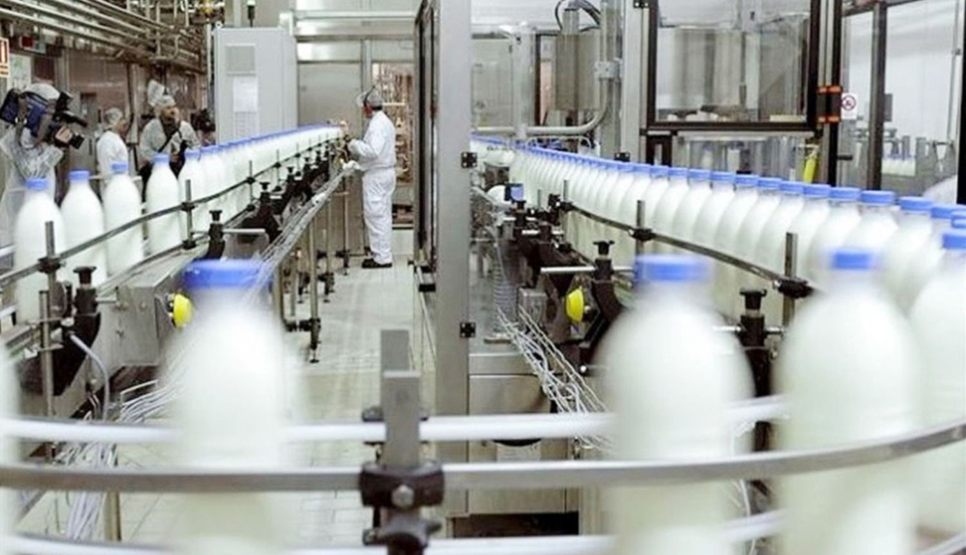 La industria lechera asegura estar ante "una de las crisis más severas de la historia" del sector | Información General