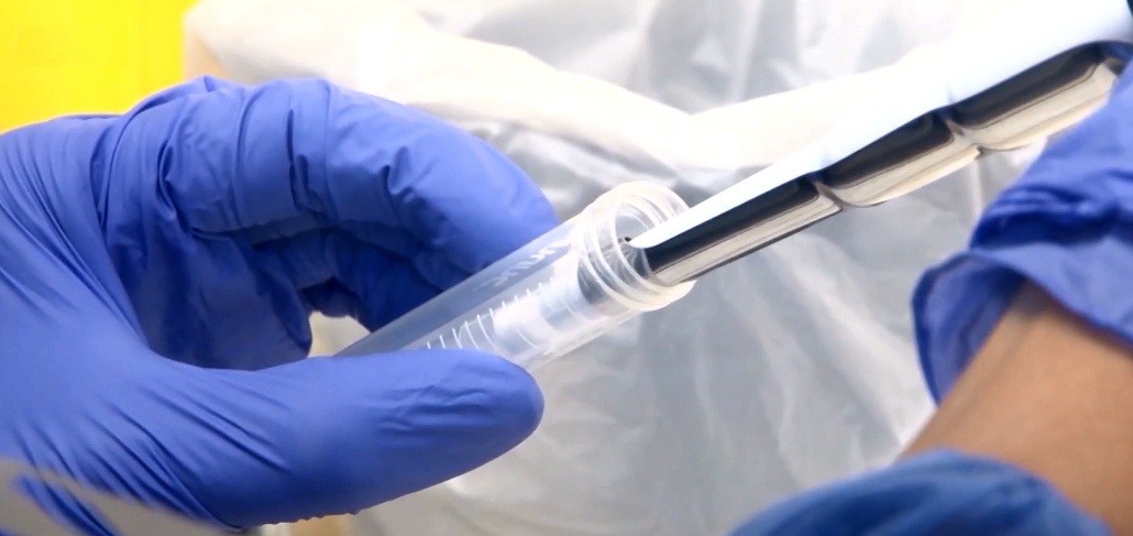 Santa Fe registró 382 nuevos casos de Covid-19 | Información General