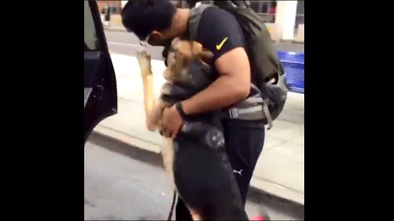 El emocionante video de los reencuentros de perros con sus dueños | Tecnología