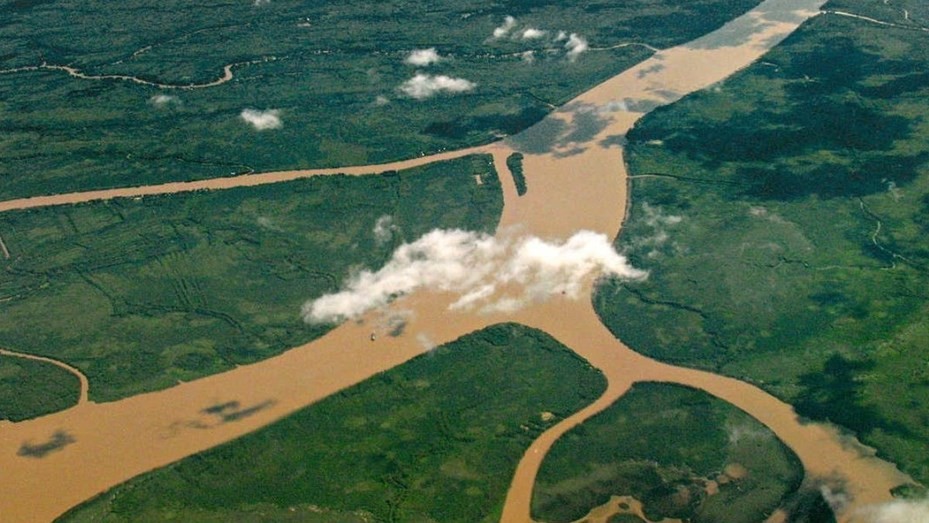 Cinco universidades darán base científica al plan para la conservación del Delta del Paraná | Información General