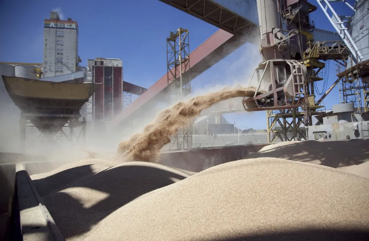 El Gobierno promulgará baja de retenciones a la soja por tres meses | Información General