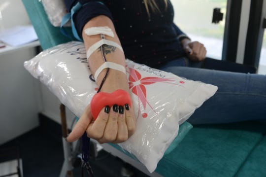 Día Nacional del Donante de Sangre: convocan este lunes a una colecta en la plaza San Martín | Información General