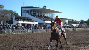 Habilitan la actividad hípica en la provincia de Santa Fe | Información General