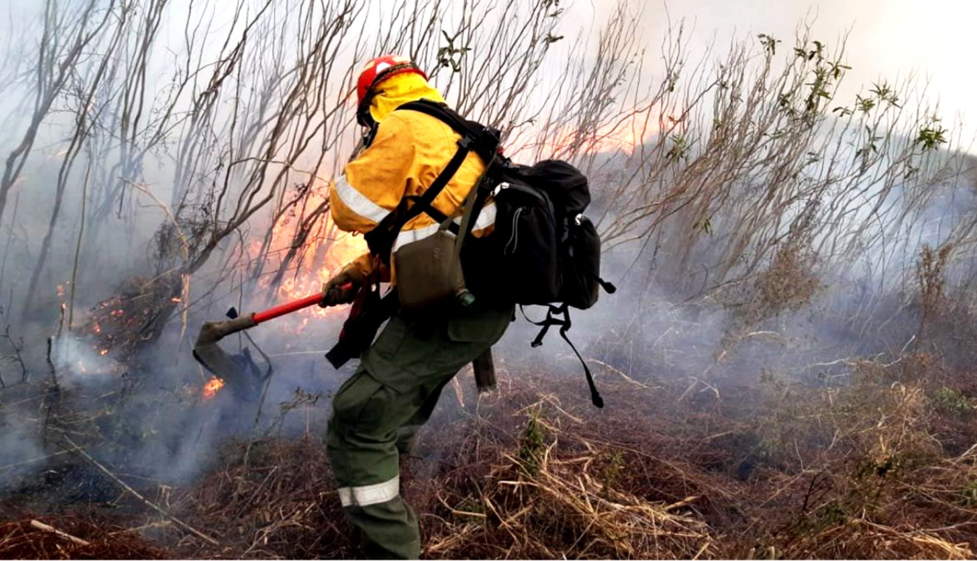 Más de 100 brigadistas trabajan para combatir los incendios en las islas | Información General