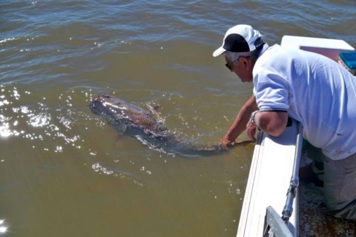 Veda pesquera: la Cámara de Feria hizo lugar parcialmente al recurso de apelación planteado por la Provincia | Información General