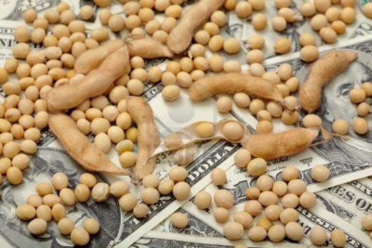 La suba de commodities y aumento de la presión tributaria, permitieron un alza en recaudación | Información General