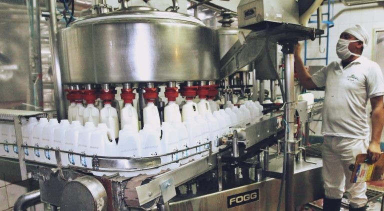 El consumo de leche mostró un leve repunte | Información General
