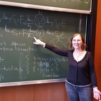 Una matemática argentina ganó el premio mundial "Por las Mujeres en la Ciencia" | Información General