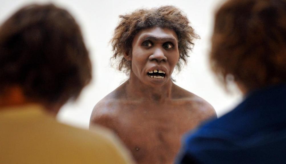 ¿Tus antepasados neandertales influyeron en tu covid? | Tecnología