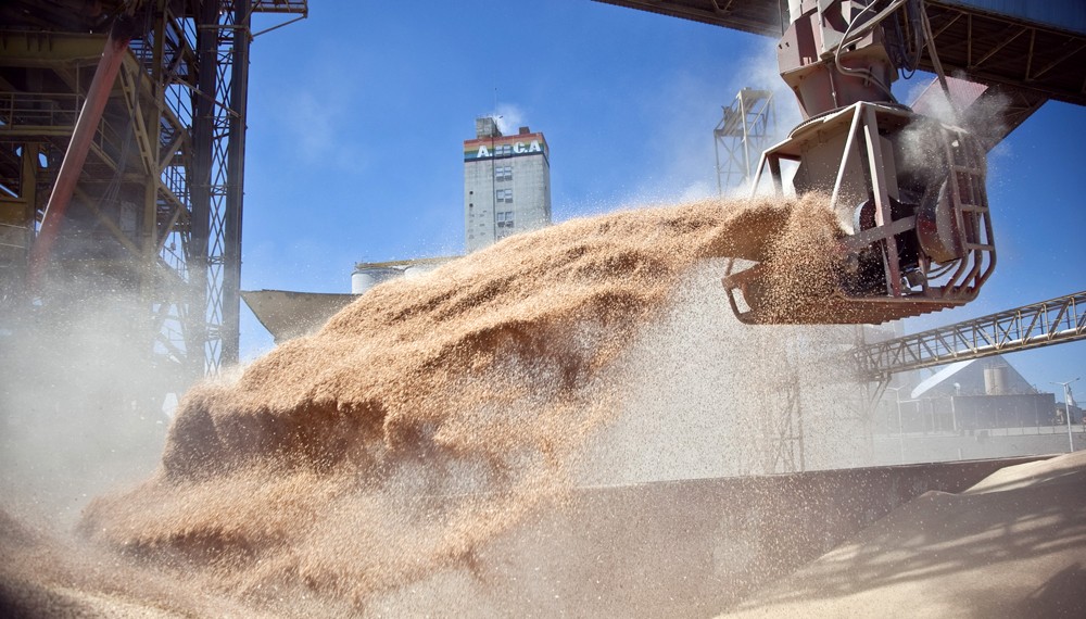 El ministerio de Agricultura realizará el seguimiento de la comercialización de granos | Información General
