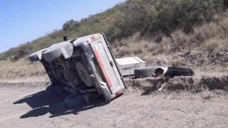 Hacía dedo en un camino rural y mató al hombre que lo levantó con su camioneta | Información General