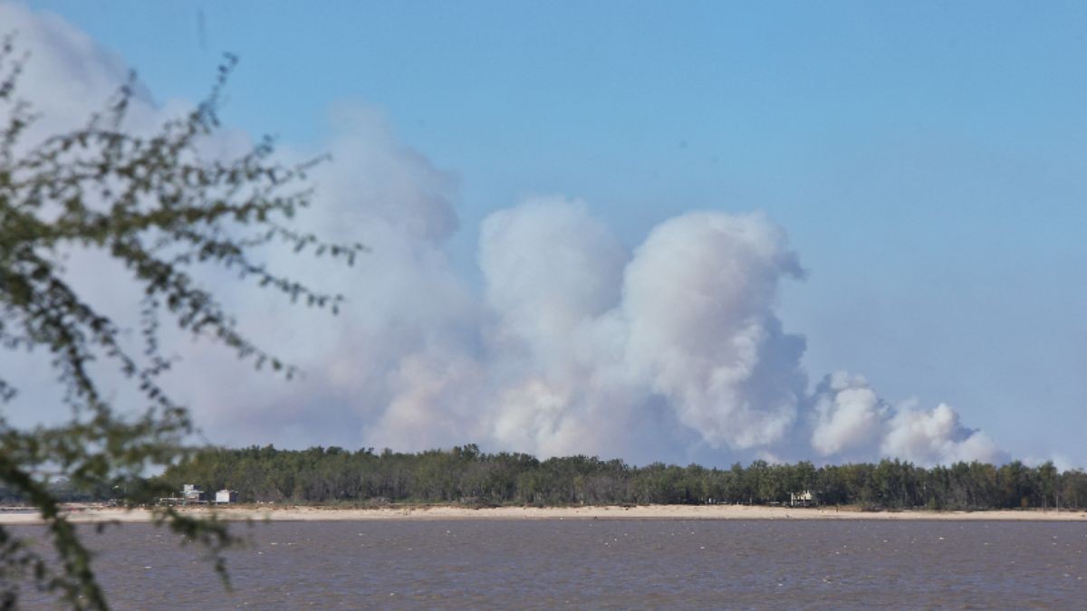 El fuego volvió a las islas y también el humo a la ciudad de Rosario | Rosario y la región
