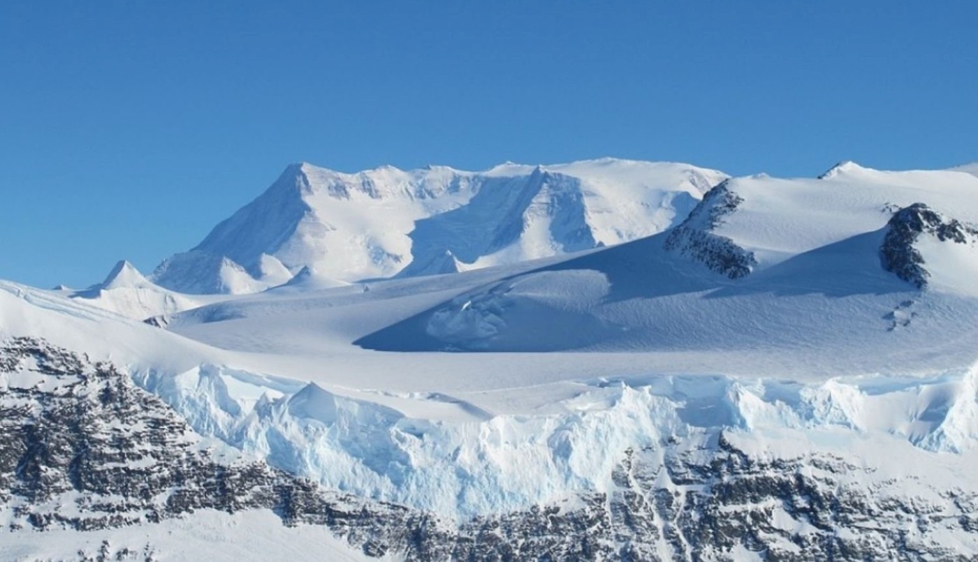 Hojas fosilizadas evidencian la existencia de bosques en la Antártida hace 58 millones de años | Tecnología