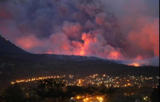 "A alguien se le ocurrió que estaba bien arrasar con todo sin importarle nada" | Información General