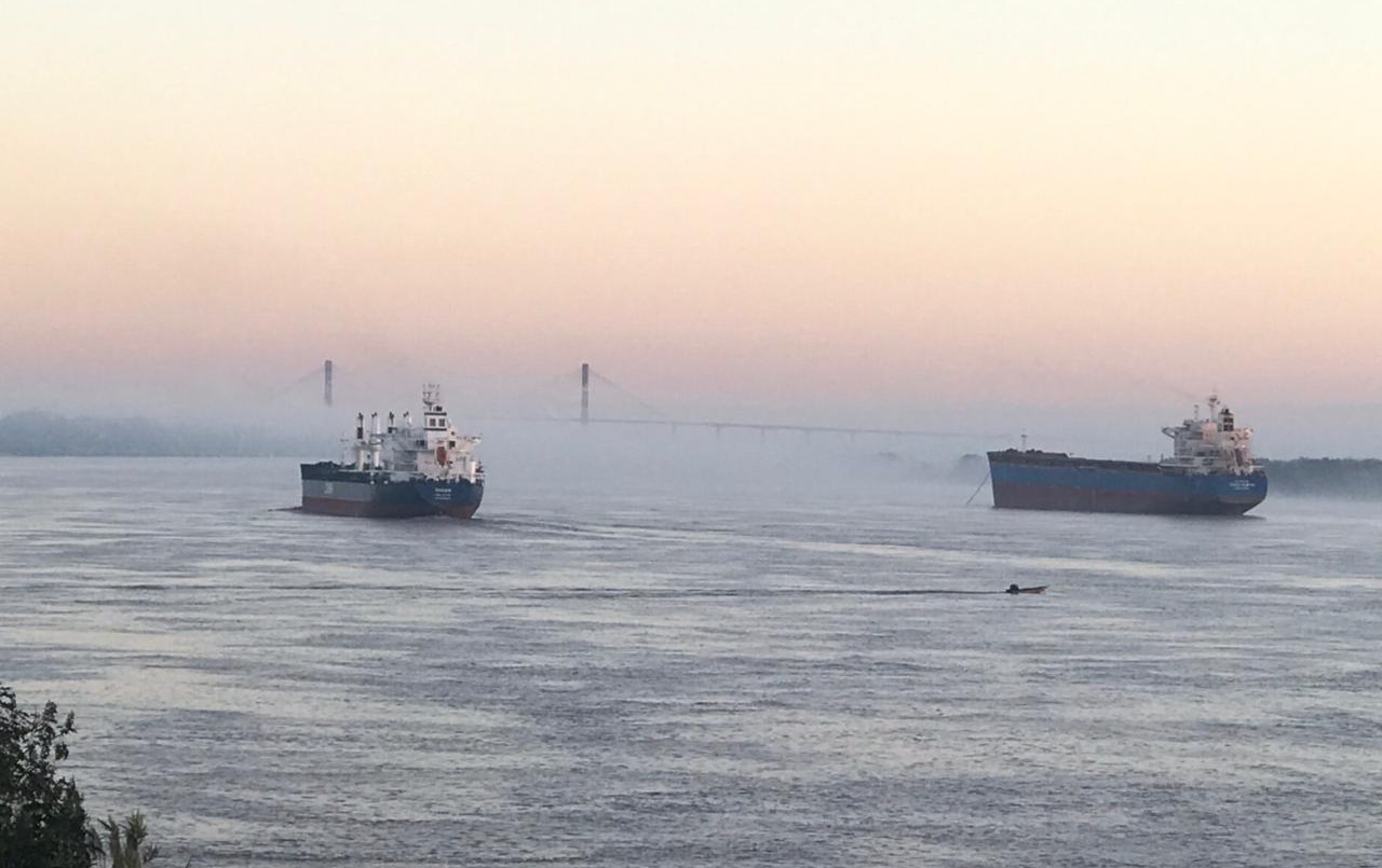 La semana se despide con bancos de niebla y temperatura agradable | Servicios