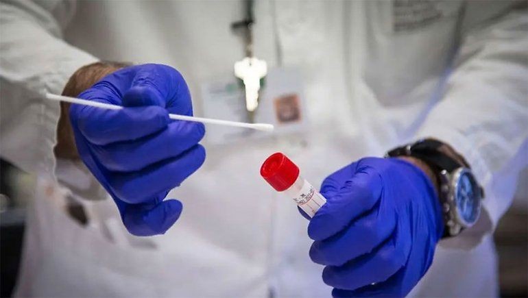 Detuvieron a dos bioquímicas por entregar falsos certificados de testeos de coronavirus en Córdoba | Información General
