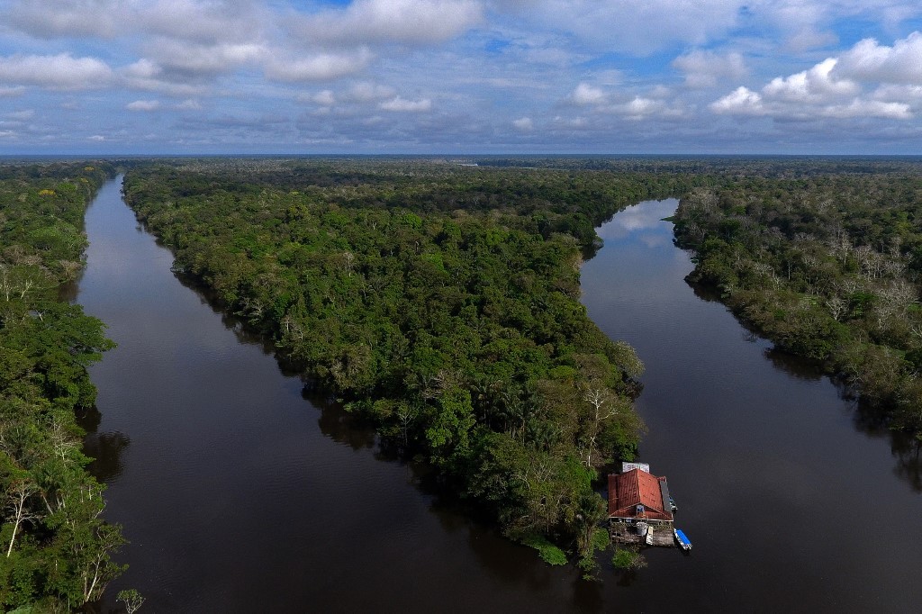 Inversión inédita: bosques de la Amazonia emitieron más carbono del que absorbieron en la última década | Tecnología