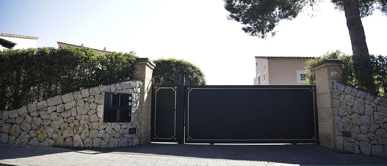 Por su perro, arrestaron a una mujer que fingió la muerte tras una estafa millonaria | Tecnología