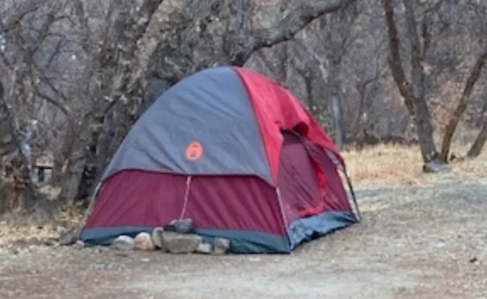 Misterio resuelto: desaparecida hace casi 6 meses, la hallaron viviendo en una carpa en el bosque | Tecnología