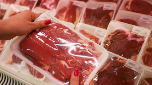 Exportación de carne: duro comunicado del Juntos por el Cambio que llamó a las provincias a tomar una drástica decisión | Información General