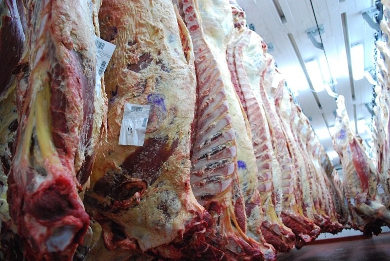 El Gobierno anunciará hoy el nuevo esquema de exportación de carne | Información General